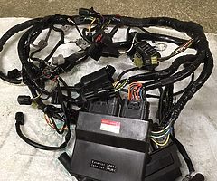 ZX6R selection of ECUs, looms, etc