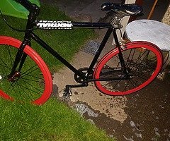 Nice fixie