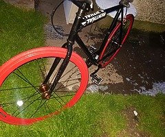 Nice fixie - Image 4/4