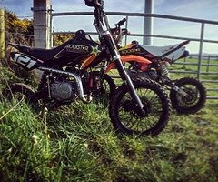 110cc pitbike