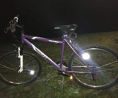 Apollo Twilight men's bike