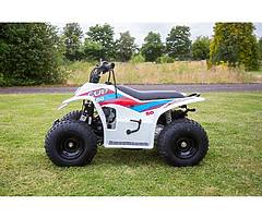 SMC Cub 50 cc KIDS quad (2 year warranty/FINANCE) @muckandfun - Image 7/9