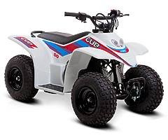 SMC Cub 50 cc KIDS quad (2 year warranty/FINANCE) @muckandfun - Image 9/9