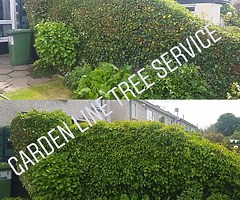 Gardening service before and after pictures below