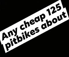 Any cheap pitbikes about