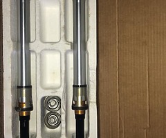 Ohlins inserts