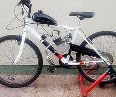 New 80cc Motorised Bicycles + Delivery