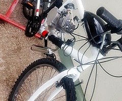 New 80cc Motorised Bicycles + Delivery