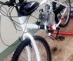 New 80cc Motorised Bicycles + Delivery