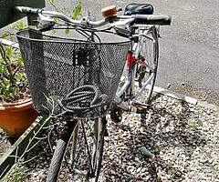 Bicycle for sale