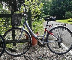 Bicycle for sale