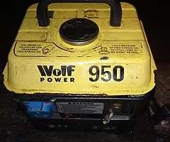 Wolf 2 stroke generator