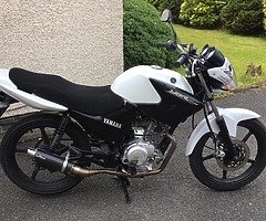 Yamaha ybr 125 - Image 6/6