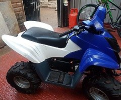 Dinli 100cc quad