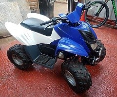 Dinli 100cc quad