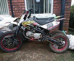 Z155 Pitbike