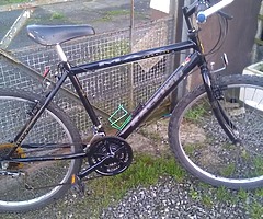 Few bike's .  Portadown .