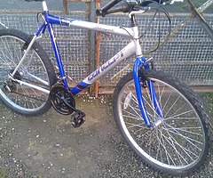 Few bike's .  Portadown .