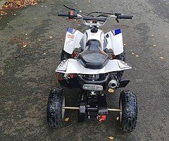 Quadard pro 50 cc kids quad at muckandfun